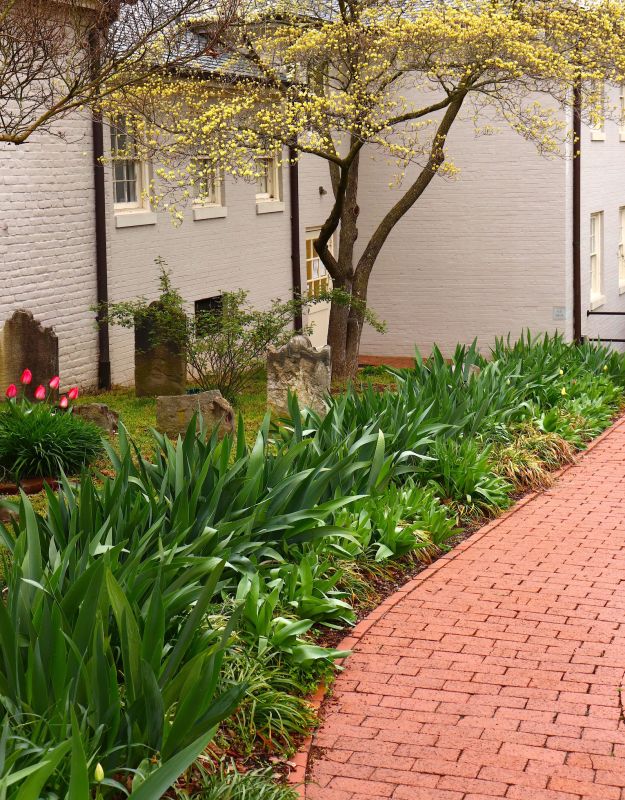 Brick Pathway Repair in Keller, TX