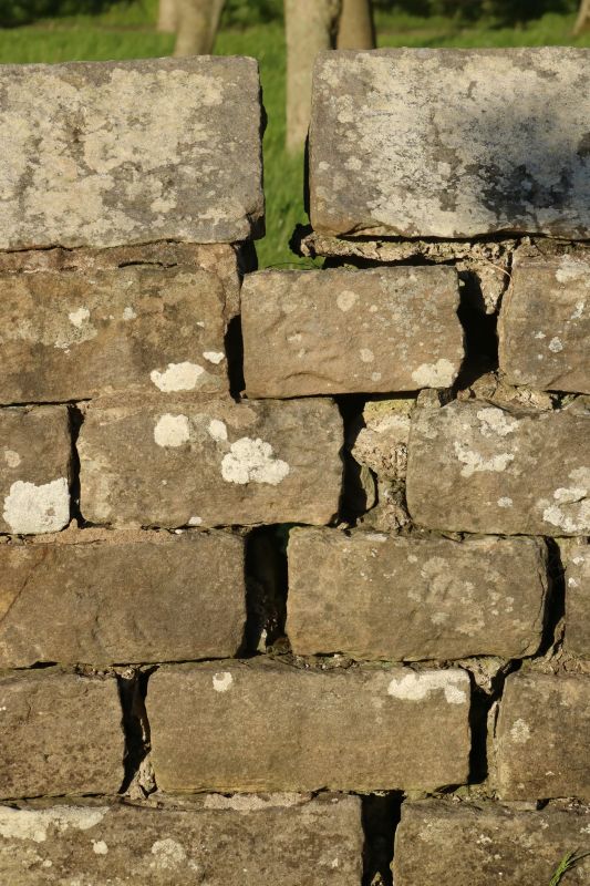 Stone Wall Repair in Little Elm, TX